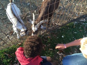 Pleasant Acres Campground – McCleary Kids